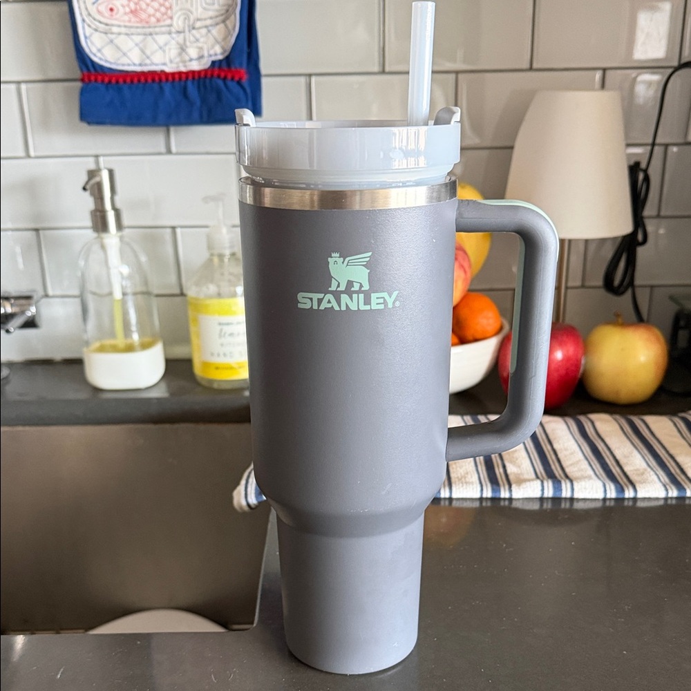 Stanley 40 oz. Quencher H2.0 FlowState Tumbler - Charcoal and Mint Green